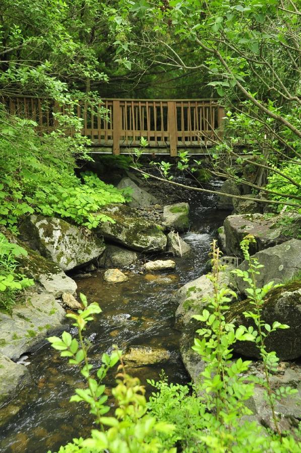 Stay Berkshires 威廉斯敦 外观 照片